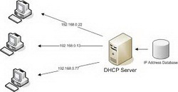 دانلود جزوه کامل سرویس های شبکه DNS و DHCP