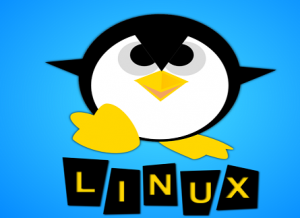 مروری بر زبانهای برنامه نویسی سیستم عامل لینوکس