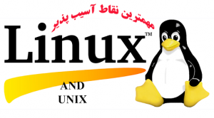  دانلود کتاب مهمترین نقاط آسیب پذیر Linux و UNIX