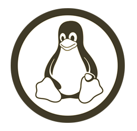 فیلم آموزشی CompTIA Linux PLUS Certification 2009