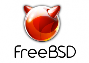  راه‌اندازی سرور با FreeBSD
