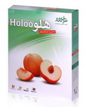 دانلود کتاب نرم افزار حسابداری هلو Holoo به زبان فارسی